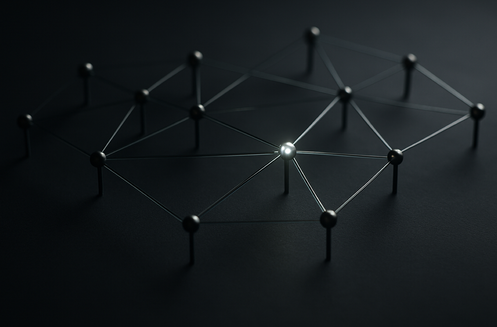 Network