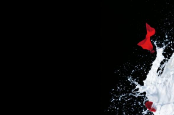 Beroepsaansprakelijkheidsverzekering - schade claimen